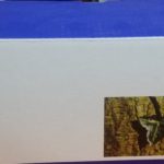 COMPATIBLE TONER CF 351a CYAN